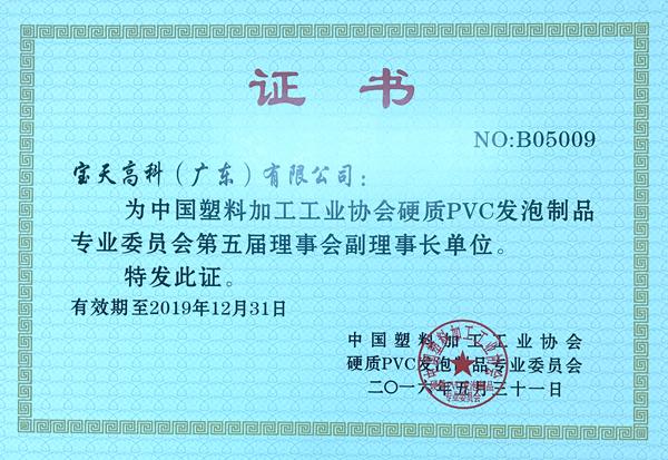 中國塑協(xié)硬質(zhì)專委會副理事長
